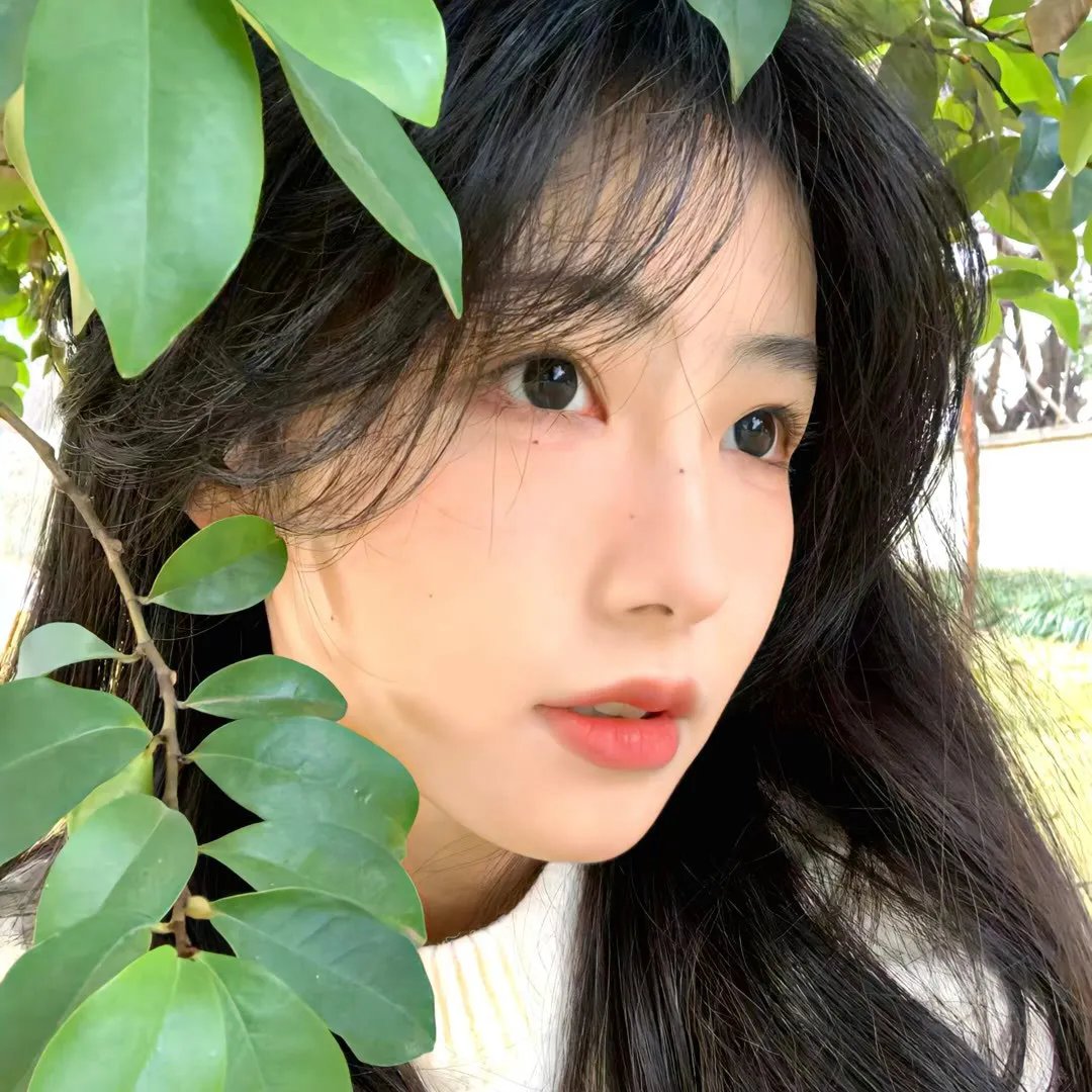 热血青春国语